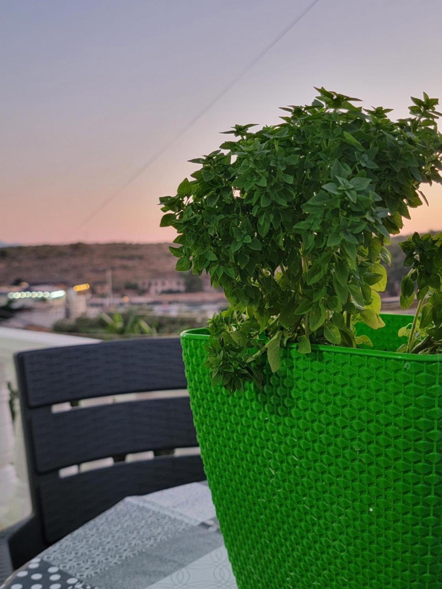 Sea The Day Apartamento